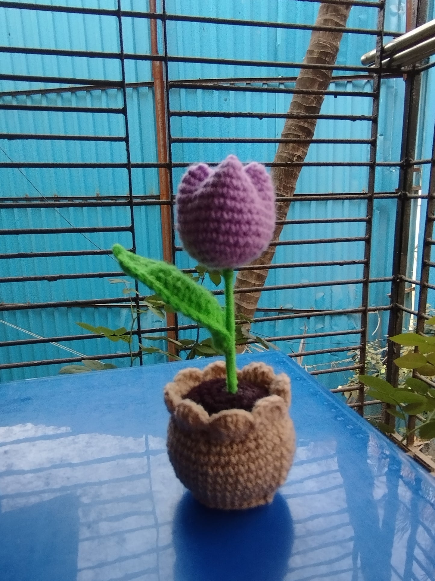 
                  
                    Tulip crochet pot
                  
                