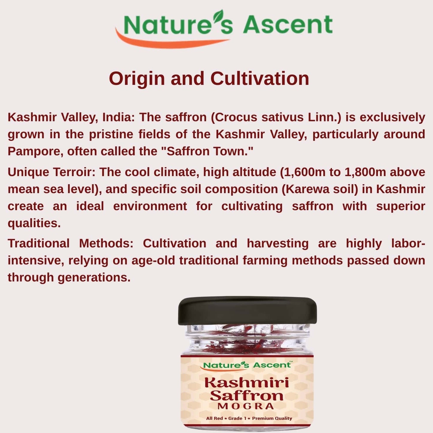 
                  
                    Nature’s Ascent Pure Kashmiri Saffron Mogra | Grade 1 | Handpicked, Unadulterated | Premium Deep Red Threads | Rich Aroma, Flavor & Color (1gm)
                  
                
