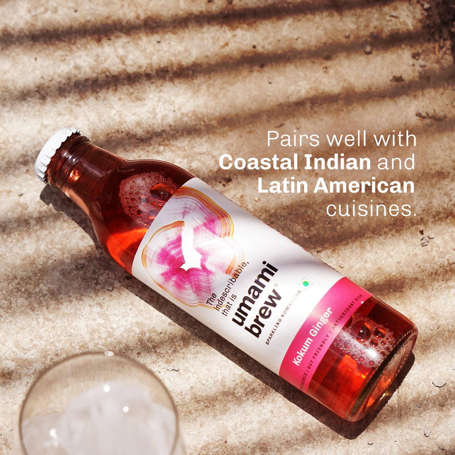 
                  
                    Umami Brew Sparkling Kombucha - Kokum Ginger Pack of 6 (6X250ml)
                  
                