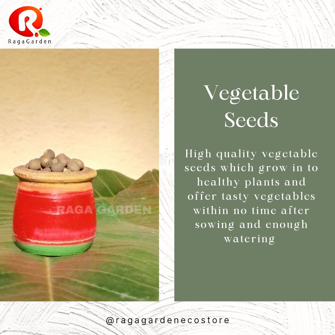 
                  
                    Ragagarden Eco Friendly Seed Ganesh Kit - Kreate- God Idols
                  
                
