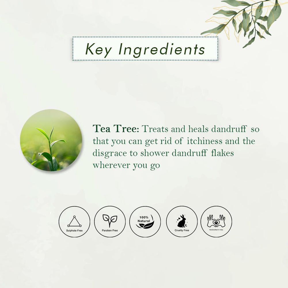 
                  
                    Refreshing Tea Tree Shampoo (300ml) - Kreate- Shampoos
                  
                