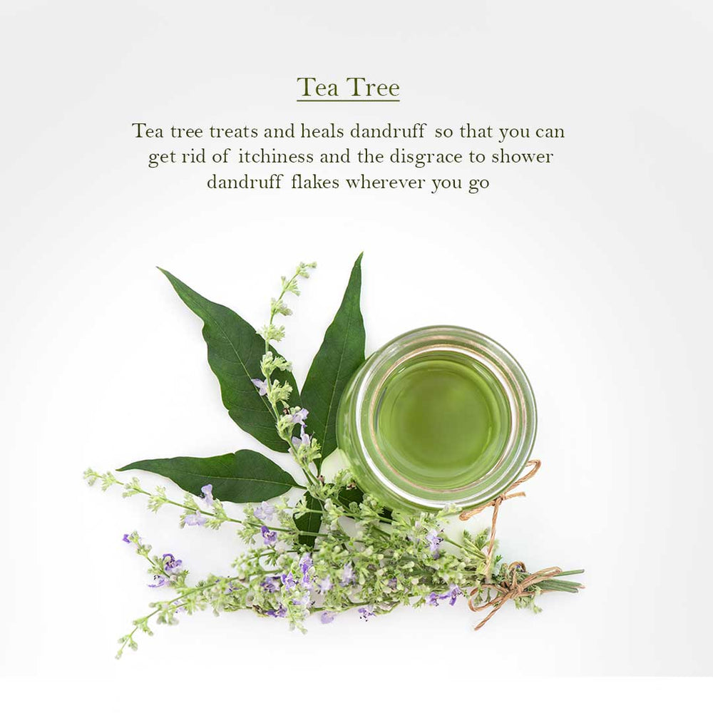 
                  
                    Refreshing Tea Tree Shampoo - Mini (30ml) - Kreate- Shampoos
                  
                