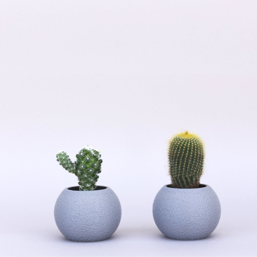 Round Fuzzy Succulent Planters - Kreate- Planters & Pots