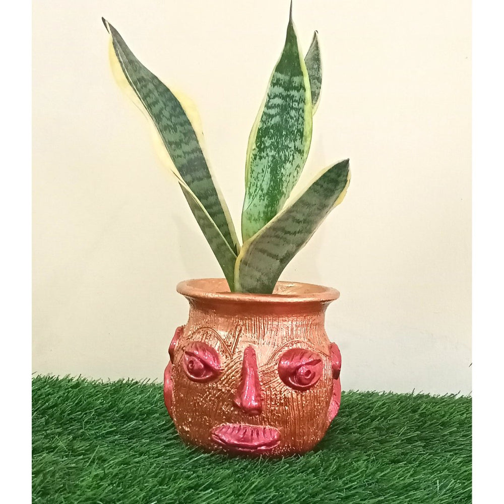 Skull Shaped Planter - Kreate- Planters & Pots