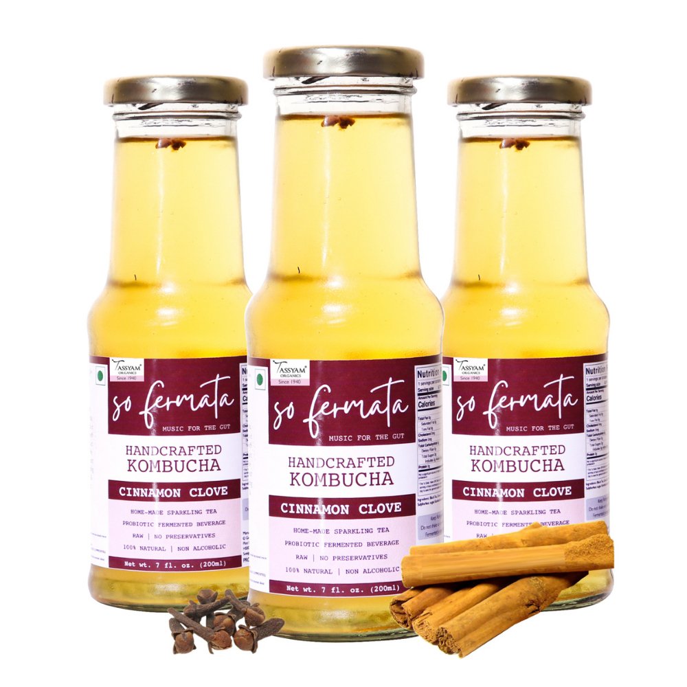 So Fermata Artisanal Kombucha, Fermented Tea, Cinnamon Clove (Set of 3) - Kreate- Kombucha