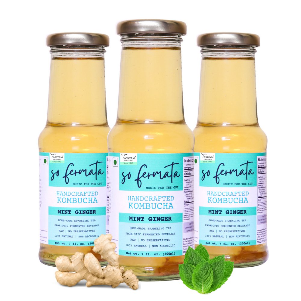 So Fermata Refreshing Mint Ginger Artisanal Kombucha Combo (Set of 3) - Kreate- Kombucha