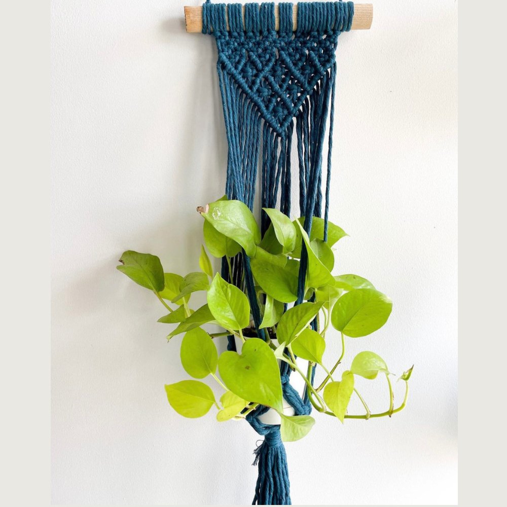 
                  
                    Story of Knots Macrame Wall Hanging Planter - Kreate- Planters & Pots
                  
                