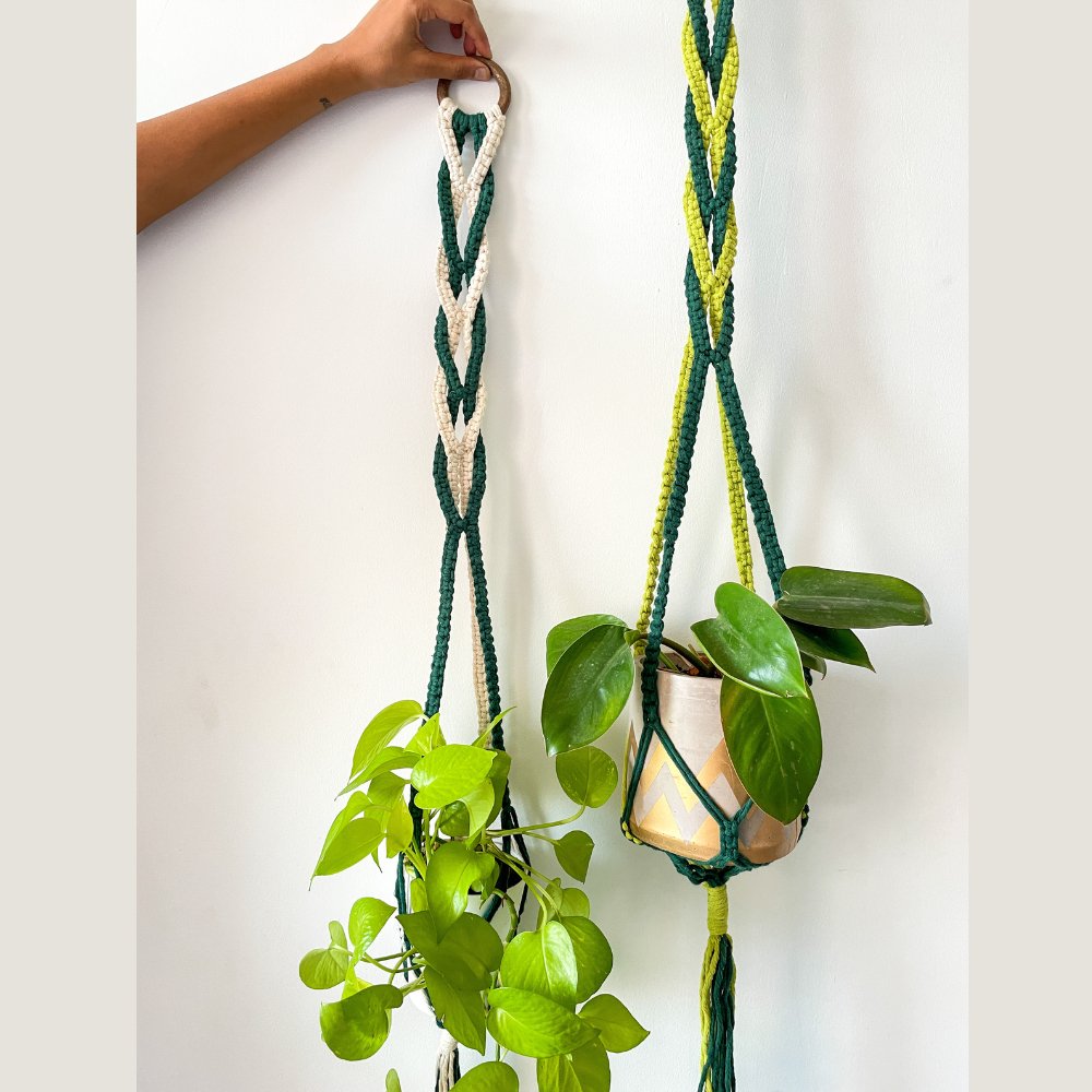Story of Knots Olive and Apple Green Macrame Planter - Kreate- Planters & Pots