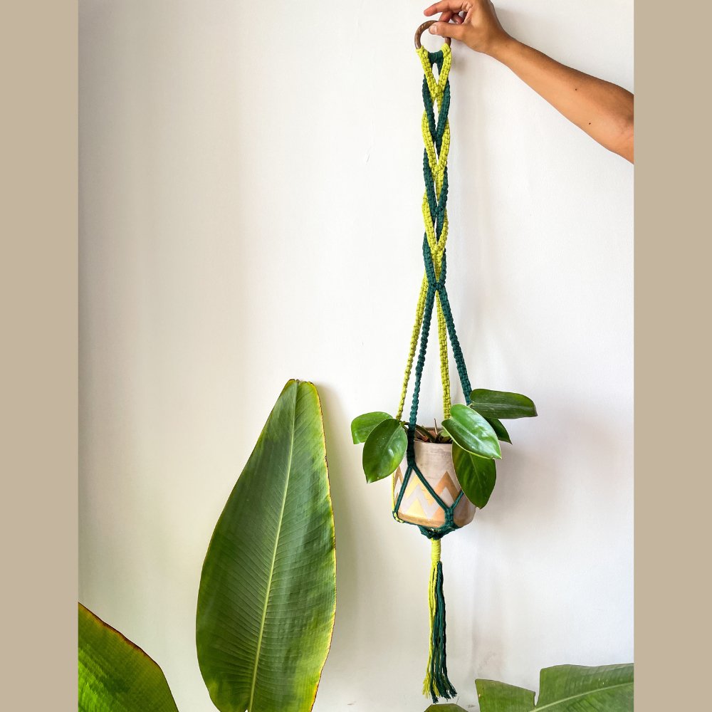 
                  
                    Story of Knots Olive Green and Ice Blue Macrame Planter - Kreate- Planters & Pots
                  
                
