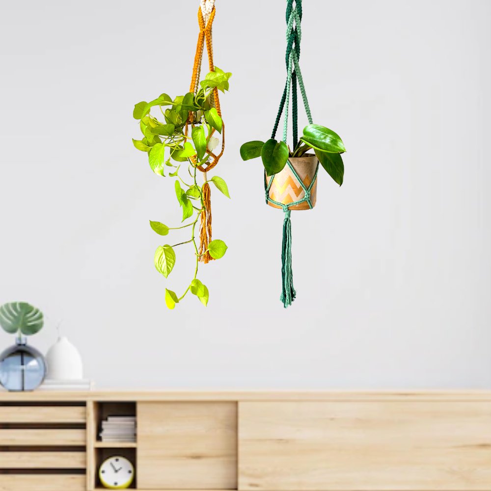 Story of Knots Olive Green and Yellow Macrame Planter - Kreate- Planters & Pots