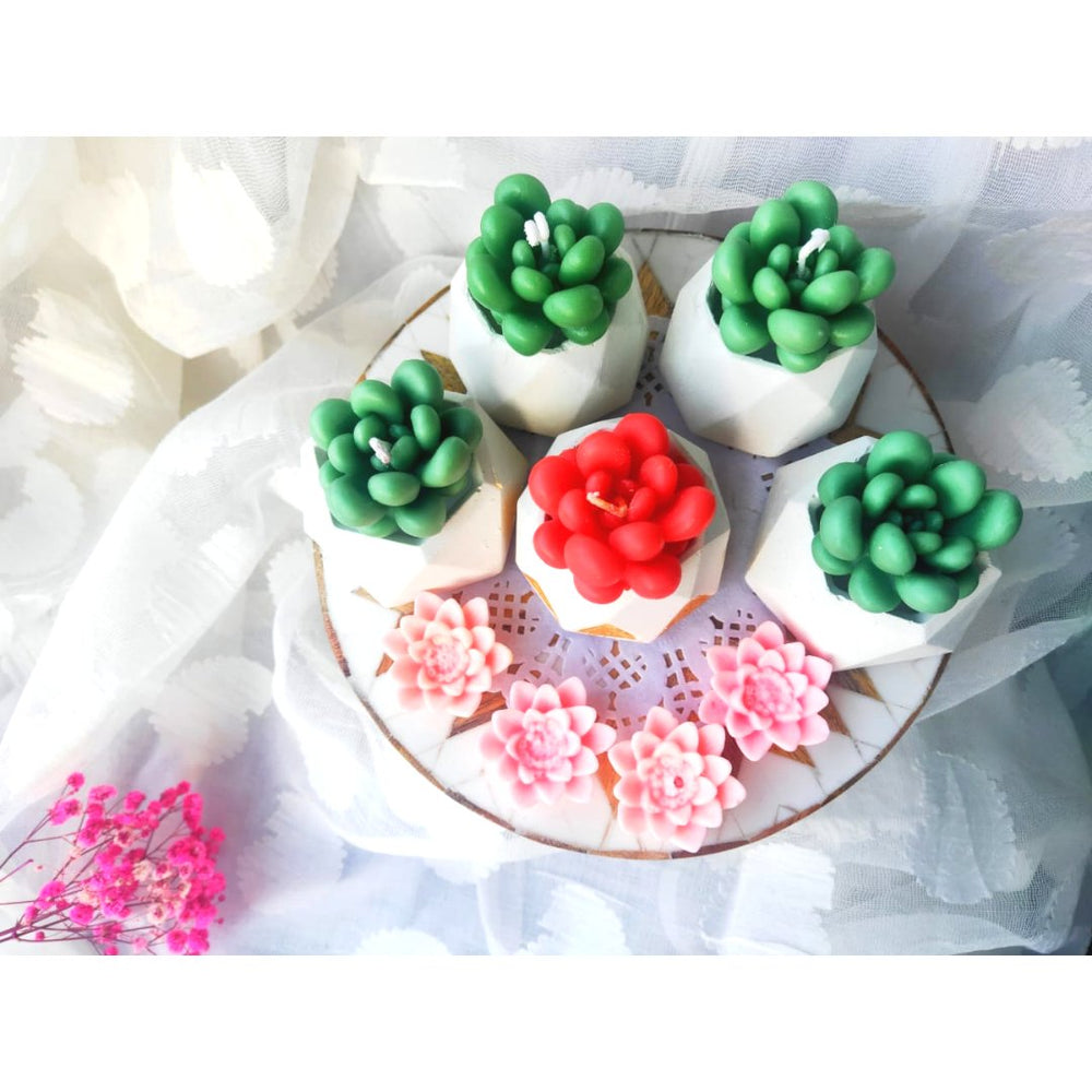 
                  
                    Succulent Candles + Floating Candles (Set of 5+4) - Kreate- Candles & Holders
                  
                
