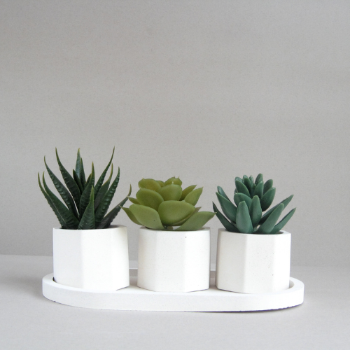 Hexagonal Desk Planter (Single)