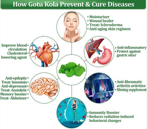 
                  
                    Centella Asiatica Dip Soup
                  
                
