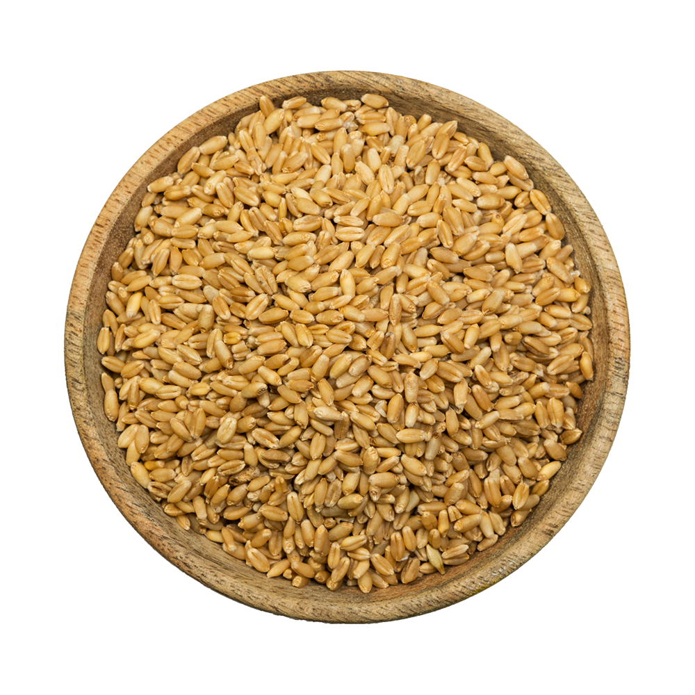 
                  
                    Terra Greens Organic Whole Wheat ( 1kg )
                  
                