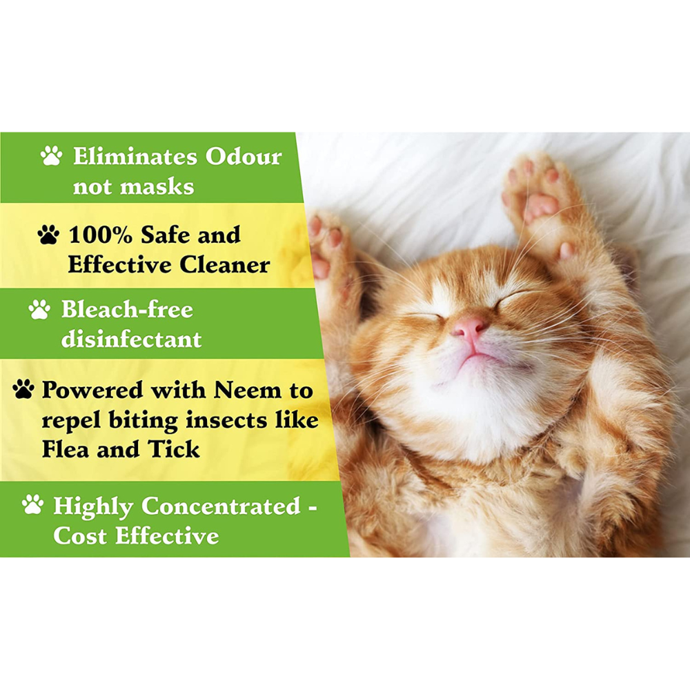 
                  
                    VetSafe Cat Litter Tray Disinfectant (500ml)
                  
                