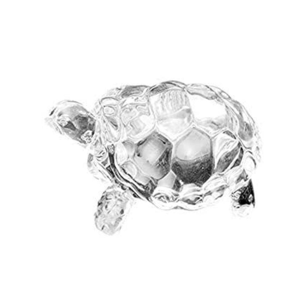 
                  
                    Crystal Turtle/Tortoise
                  
                