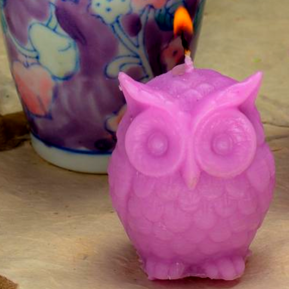 
                  
                    Afterglow Lucky Owl Candle
                  
                