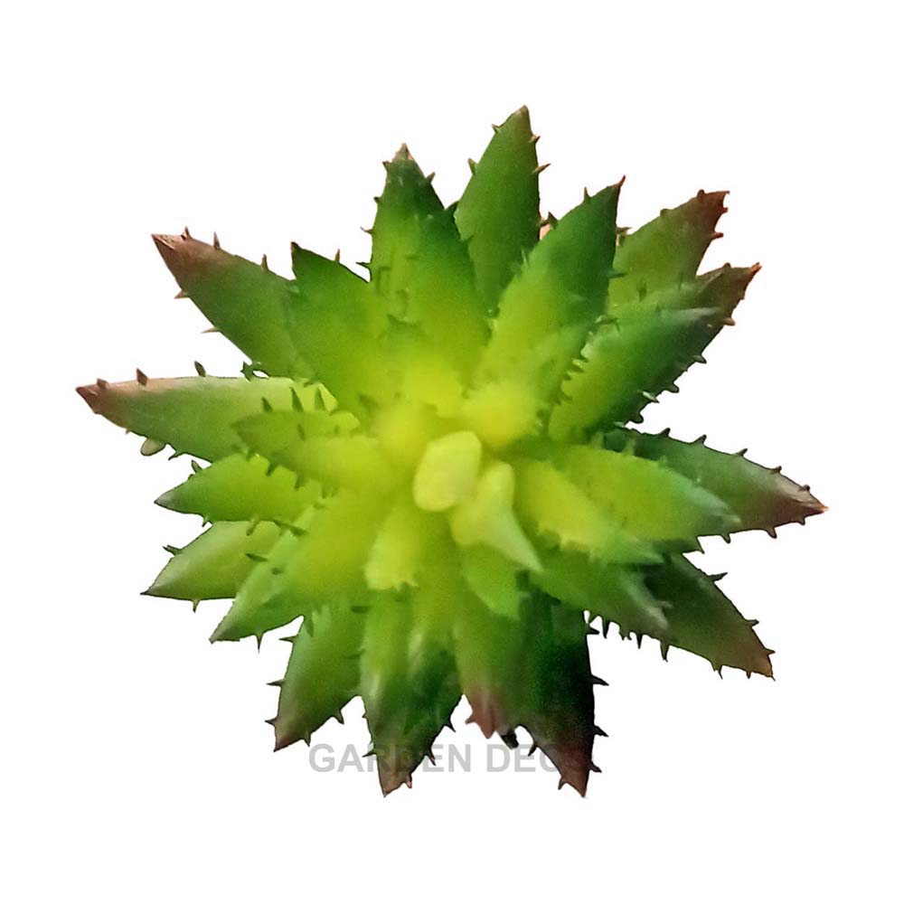 
                  
                    GARDEN DECO Artificial Big Succulent Plant
                  
                