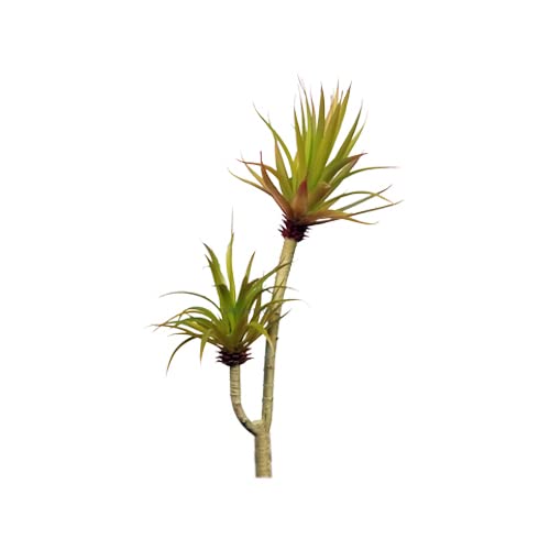 GARDEN DECO Artificial Plant for Home & Office Decoration (High Real Appearance) (1 PC)