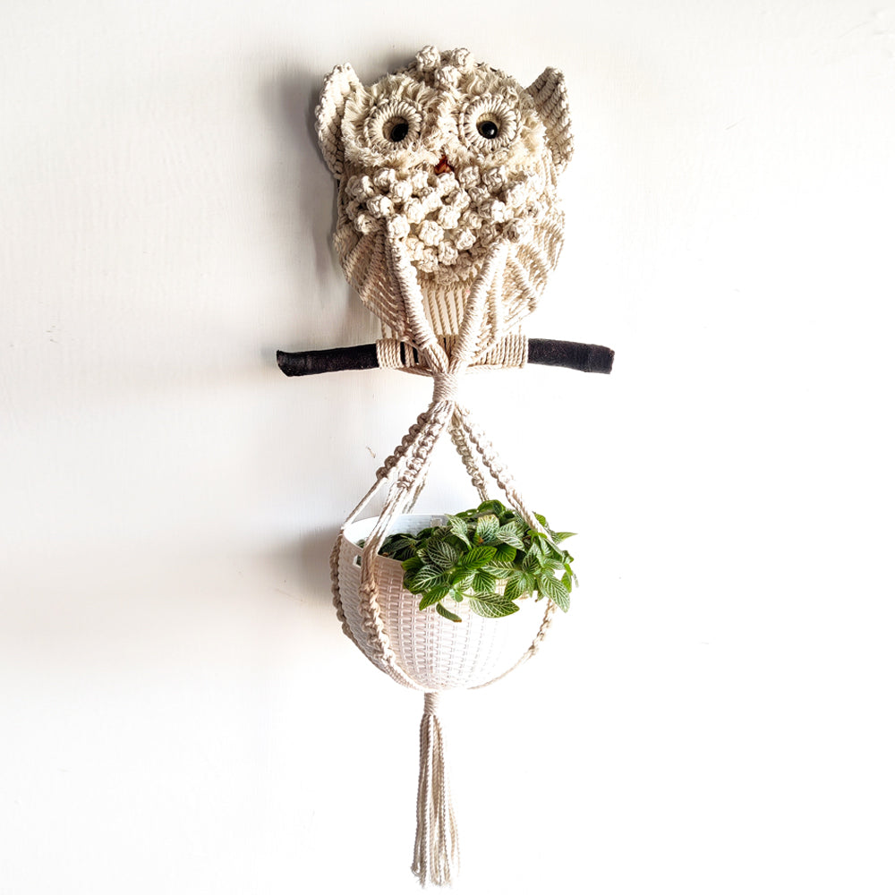 Macrame Plant hanger