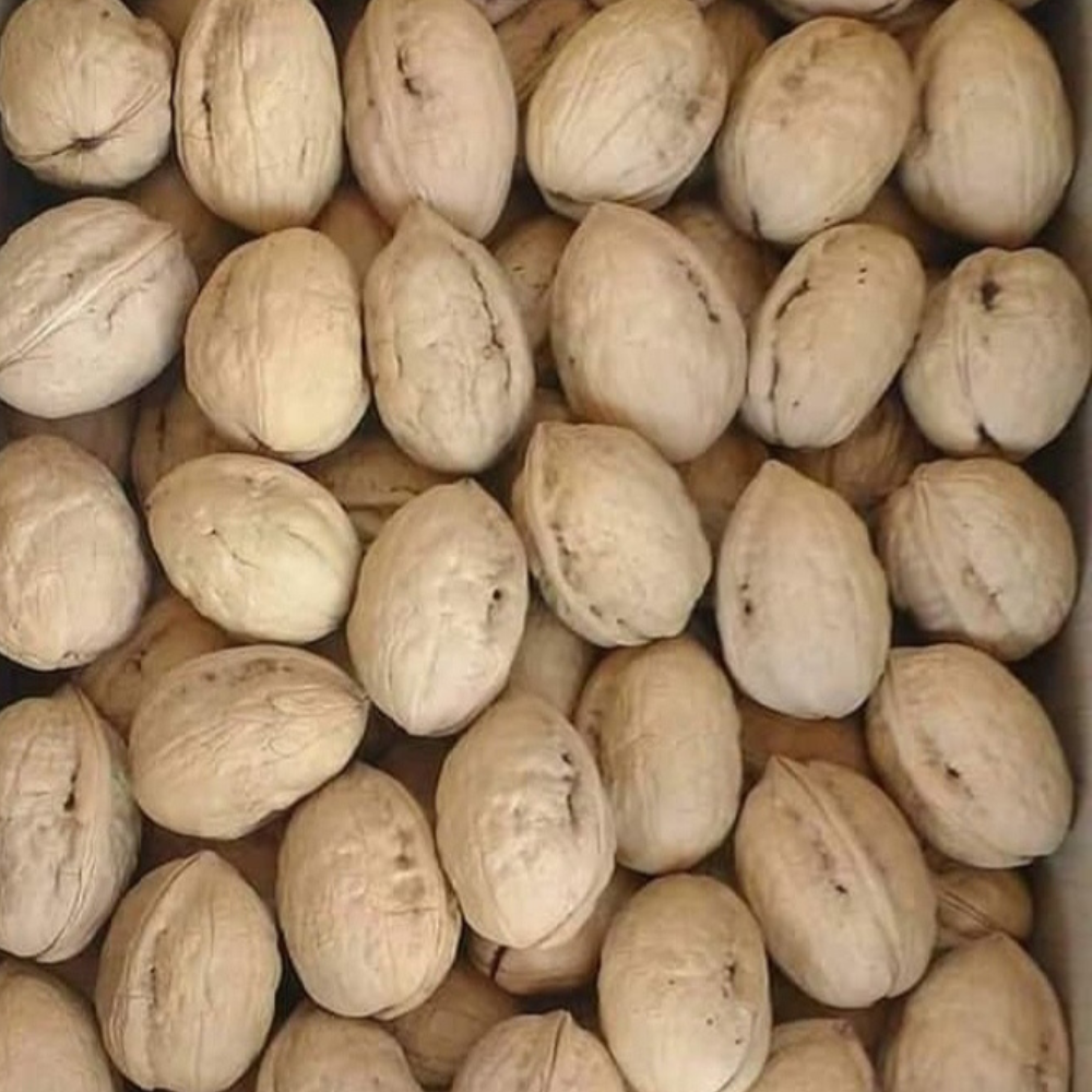 
                  
                    Kashmir Walnuts (1kg)
                  
                