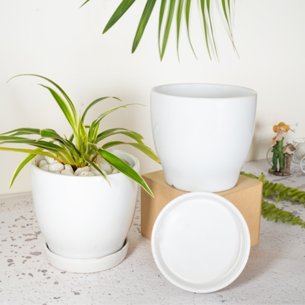 CUPPA Table Top Planters (Set of 2)