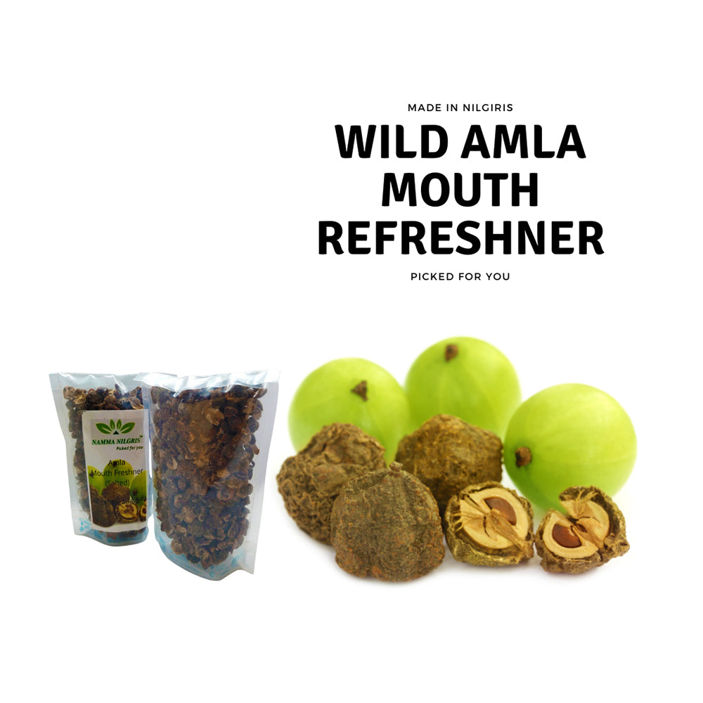 
                  
                    Wild Amla Mouth Refreshner (100g)
                  
                