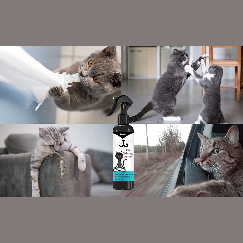 
                  
                    VetSafe Cat Calming Spray (200ml)
                  
                