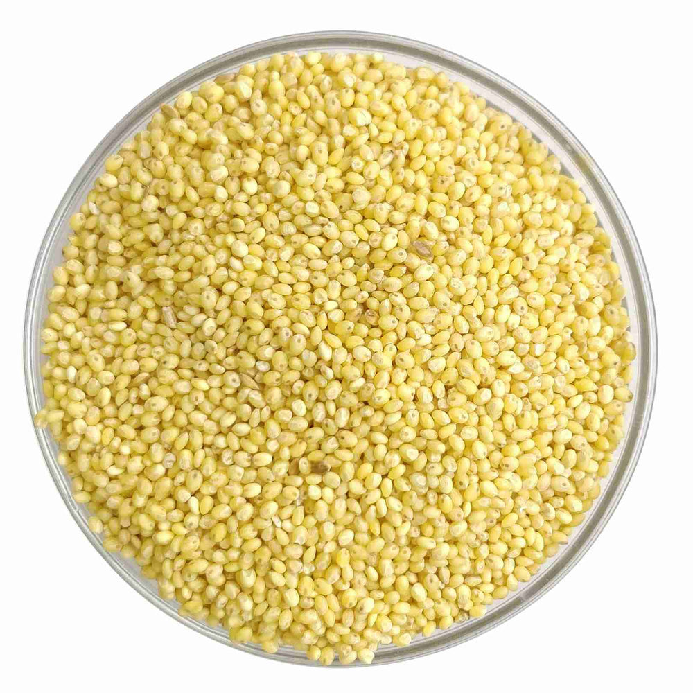 
                  
                    Millet Amma Proso Millet Grains Organic (500g)
                  
                