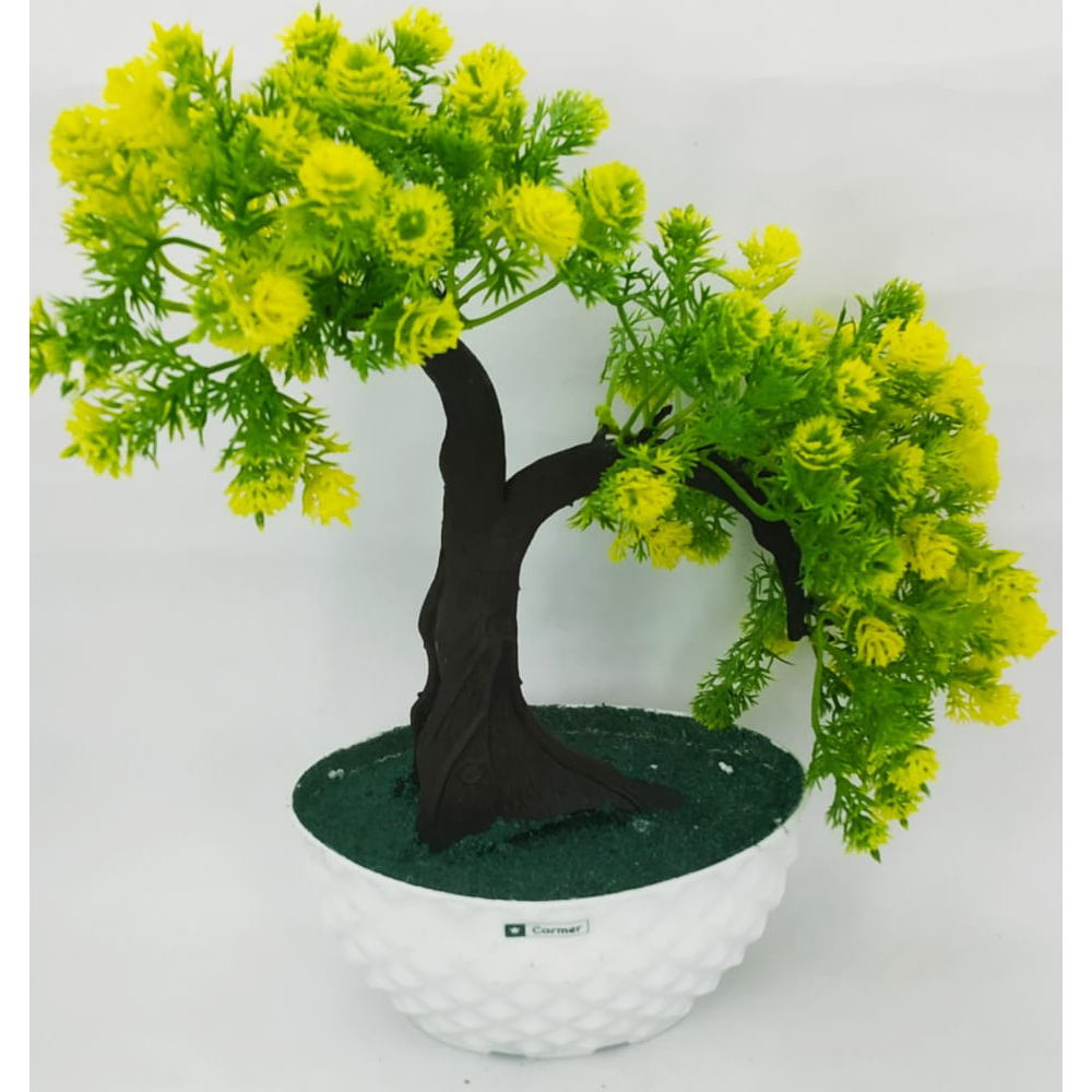 Decorative Twin Maple Plant