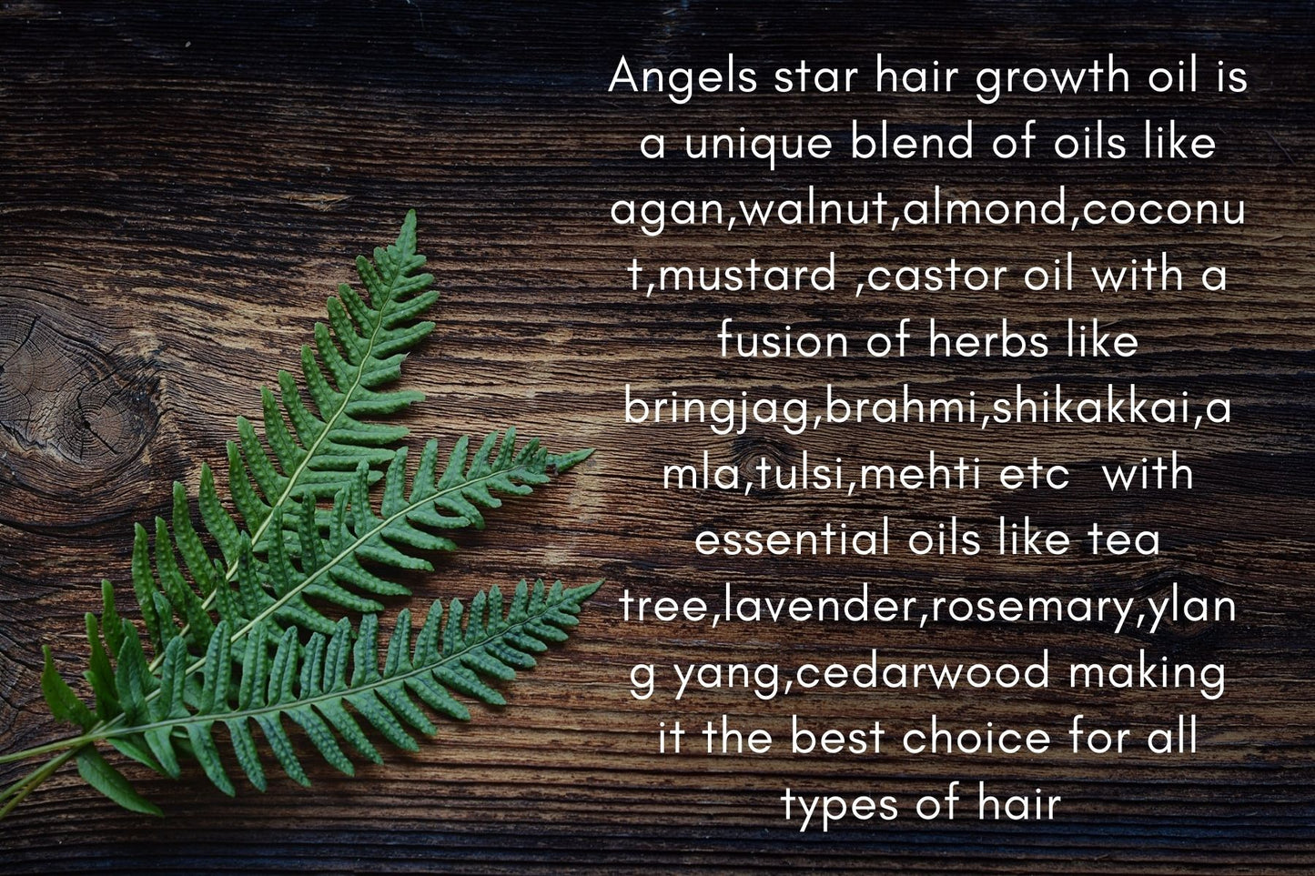 
                  
                    Angel Star Hair Growth Oil (100ml)
                  
                