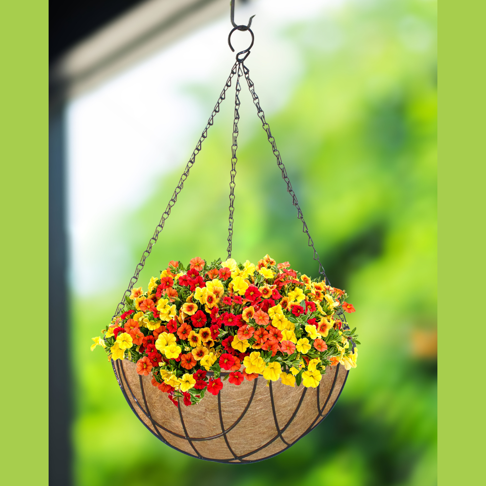 
                  
                    Black Metal Hanging Basket with Chain
                  
                