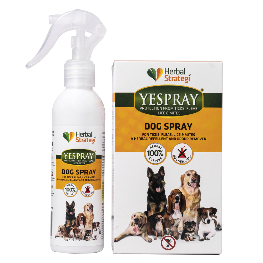 
                  
                    Herbal Strategi Dog Spray (200ml)
                  
                