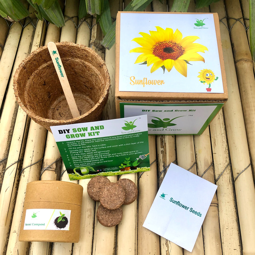 DIY Gardening Kit of Sunflower