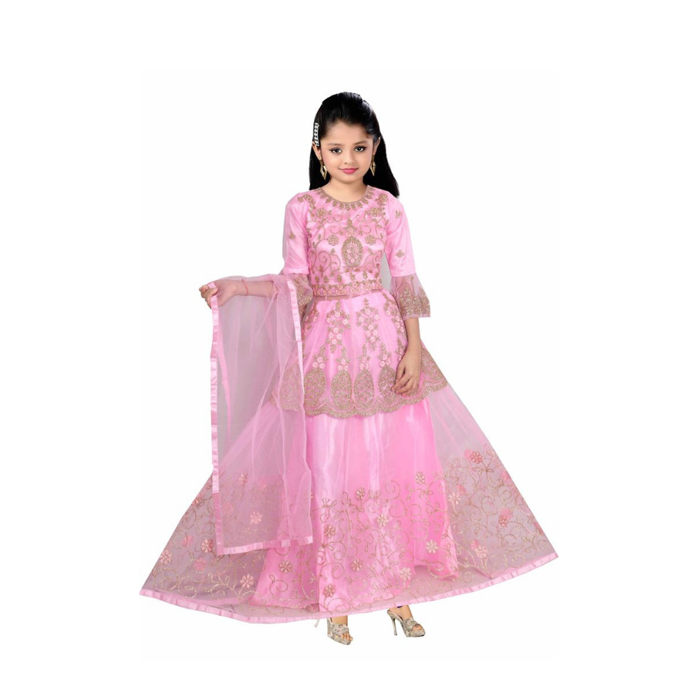 Buy Designer Lehenga Choli for Women Party Wear Bollywood Lengha Sari,indian  Wedding Wear Embrodiery Custom Stitched Lehenga With Dupatta,dress Online  in India - Etsy