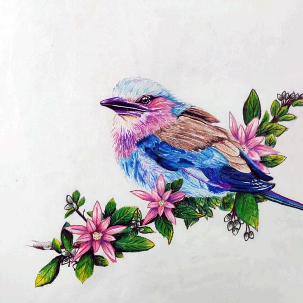 
                  
                    Handmade Bird Pencil Art
                  
                