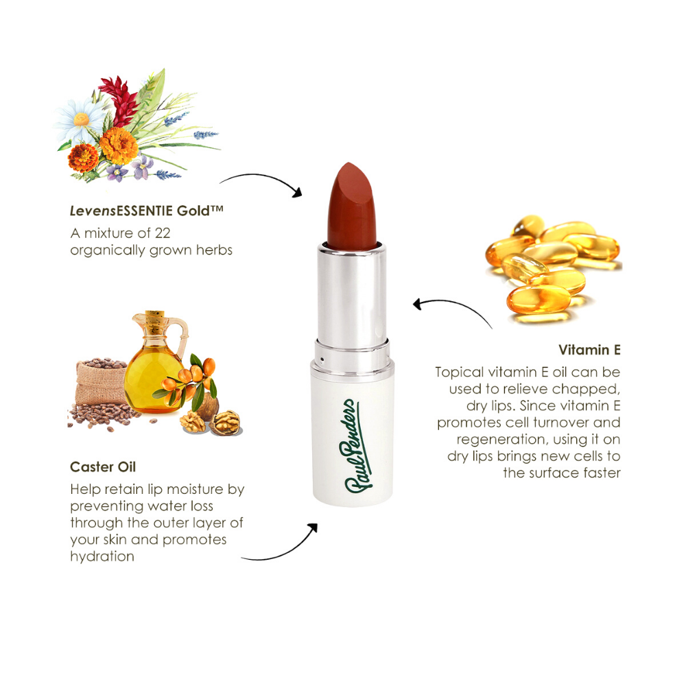 
                  
                    Paul Penders Handmade Natural Cream Lipstick (MulBerry) - 4g
                  
                