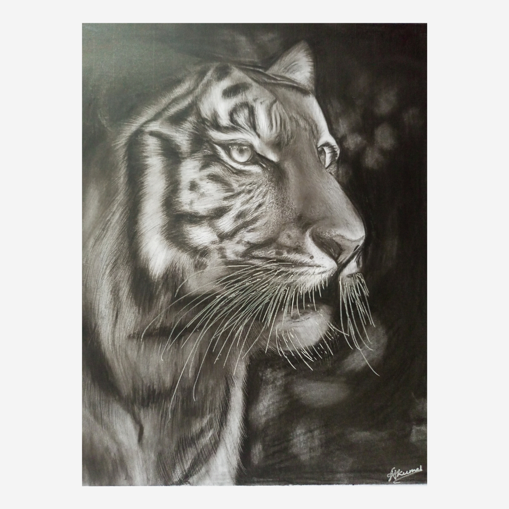 
                  
                    Charcoal Graphite Tiger Portrait
                  
                