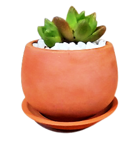 Terracotta Small Pot