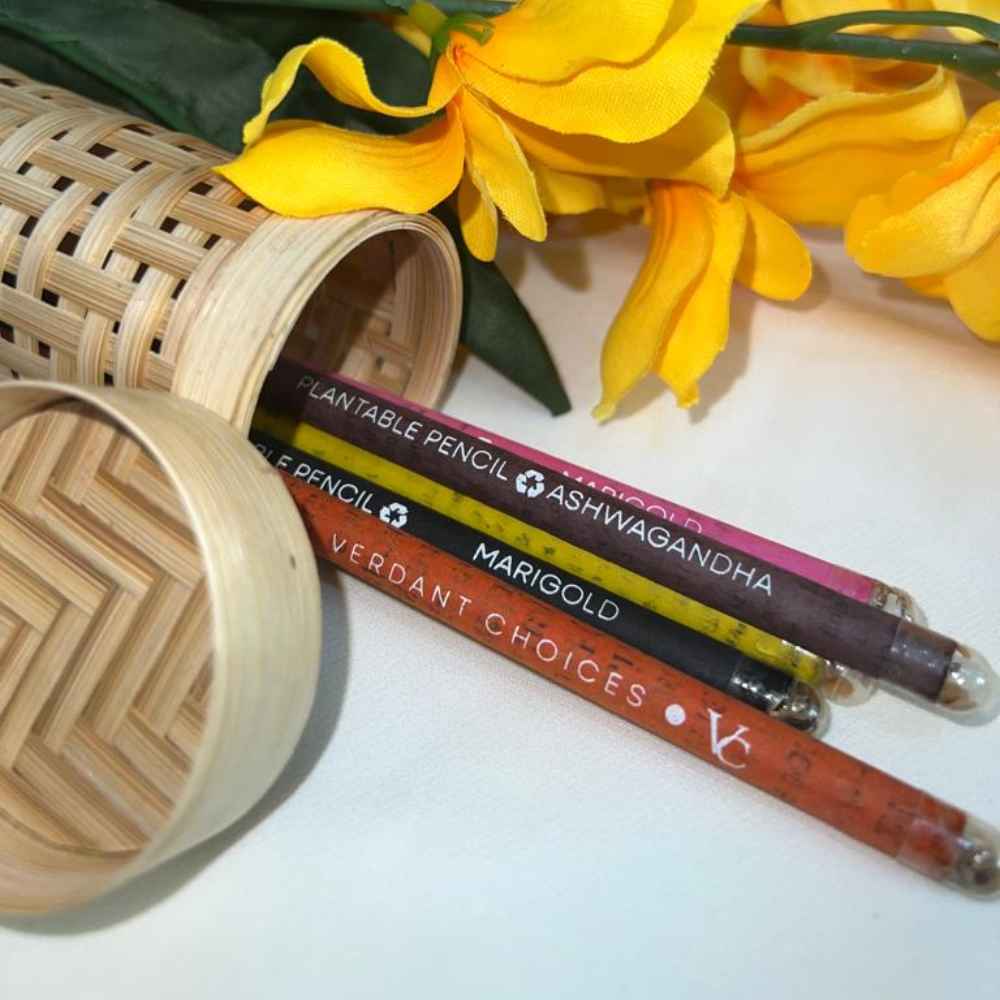 
                  
                    Plantable Colour Pencils in Bamboo Box (Set of 10)
                  
                
