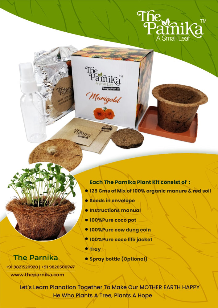 
                  
                    Marigold Plant Kit
                  
                