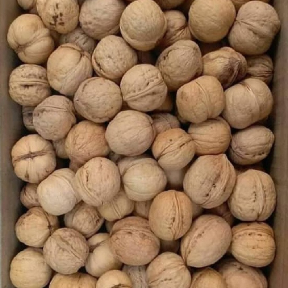 
                  
                    Kashmir Walnuts (1kg)
                  
                