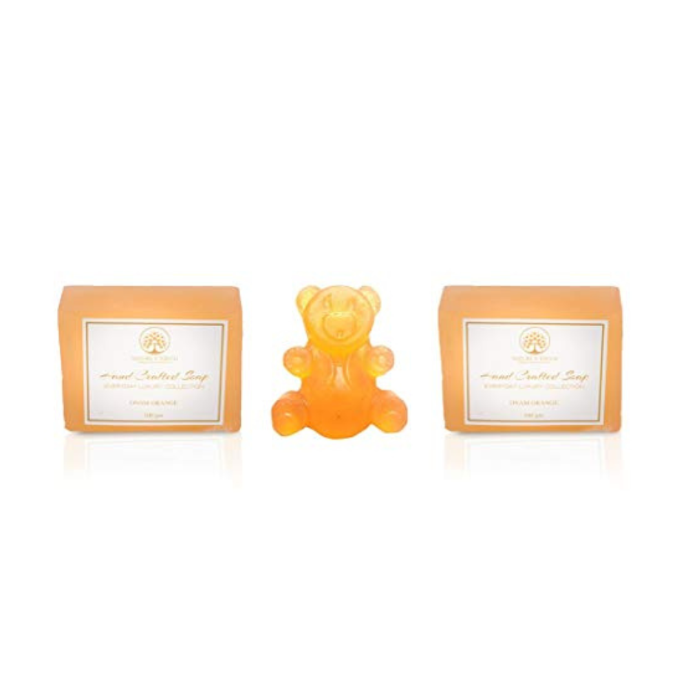 Nature's Touch Family Care Orange Glycerine Soap Combo