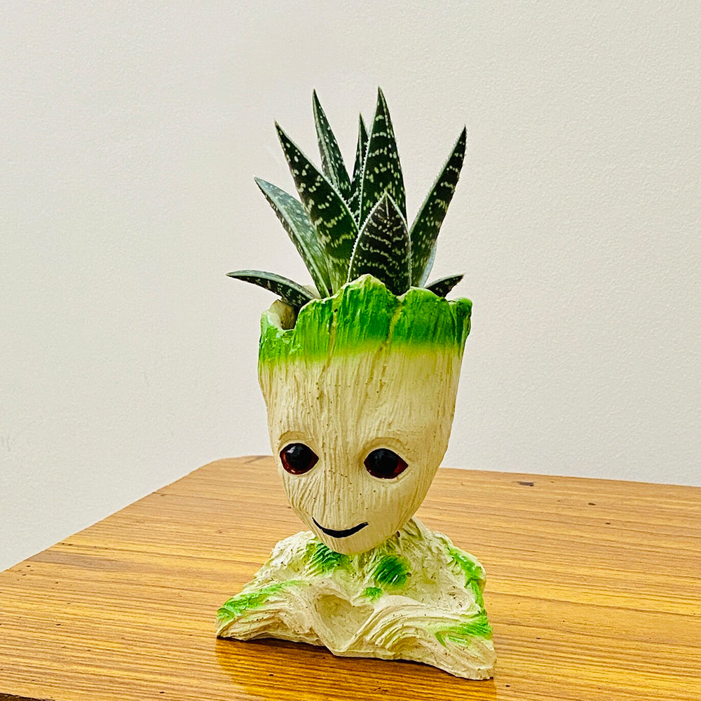 
                  
                    GoPlanto Aloe Tiki Succulent in Groot Planter
                  
                