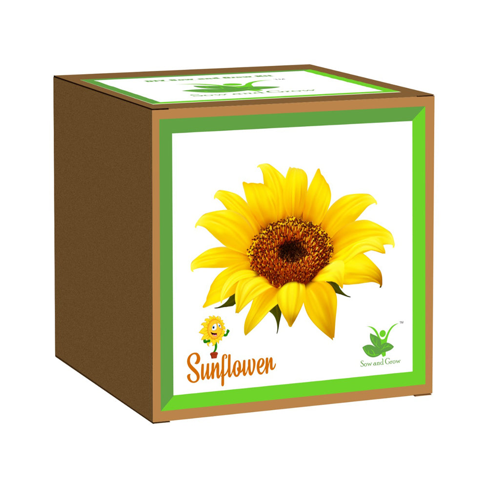 
                  
                    DIY Gardening Kit of Sunflower
                  
                