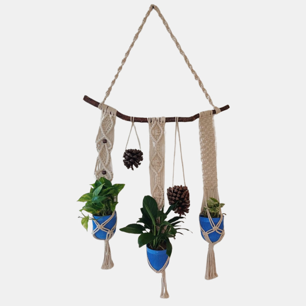 
                  
                    Macrame Plant Holder - Trio
                  
                