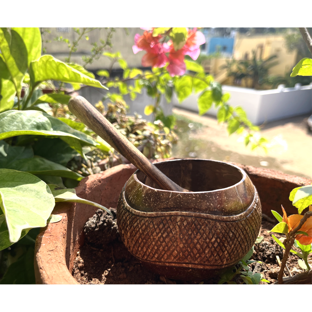 
                  
                    Coconut Bowls
                  
                