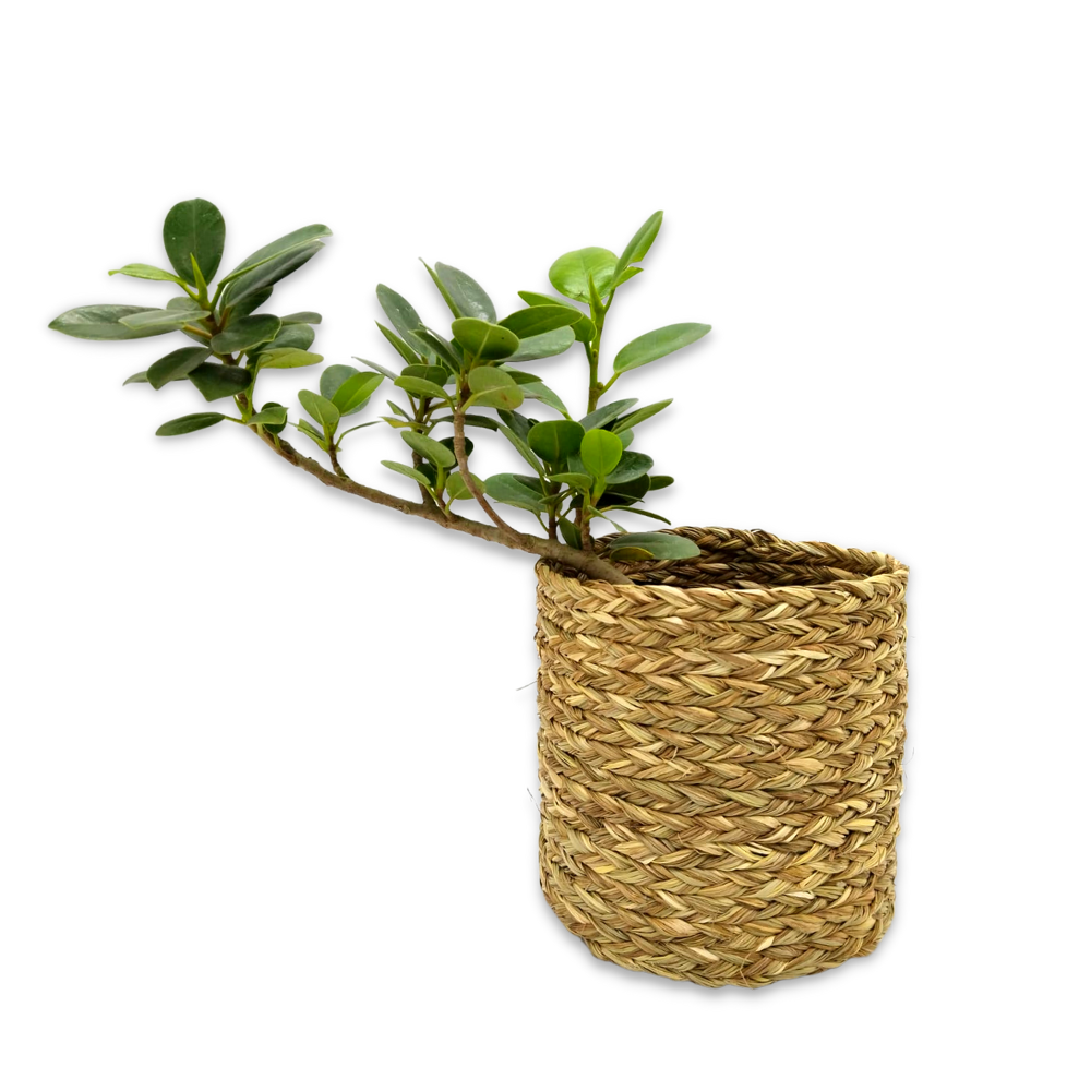 
                  
                    Mini Planter
                  
                