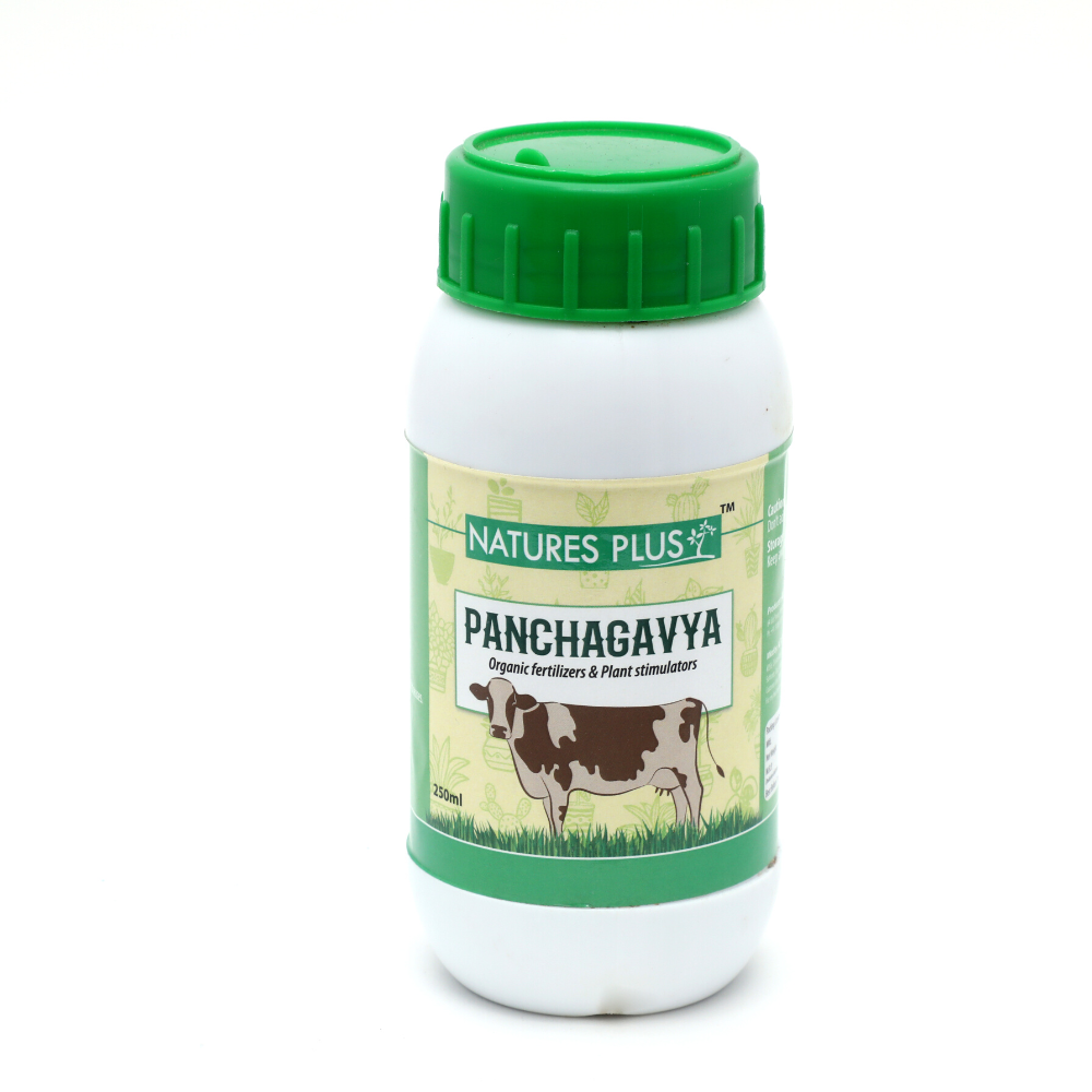 Pachagavya Organic Fertilizer (250ml)