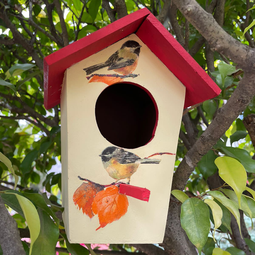 Yellow And Red BirdHouse